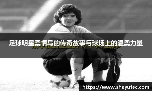 足球明星柔情鸟的传奇故事与球场上的温柔力量