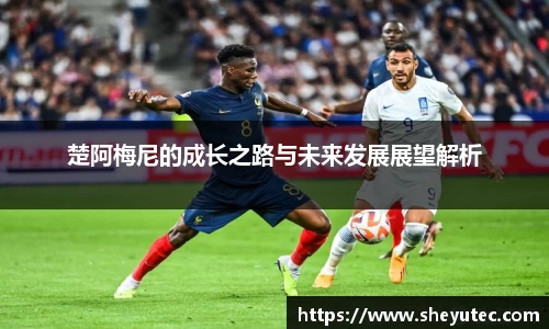 k1体育官网